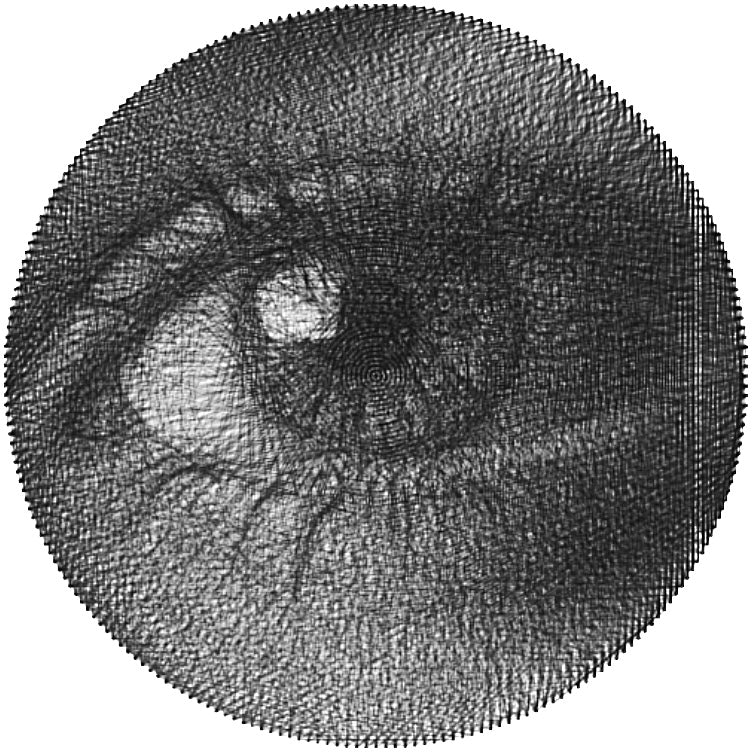 Oko